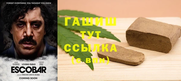 индика Верея