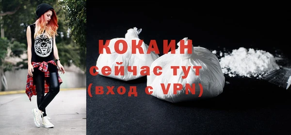 индика Верея