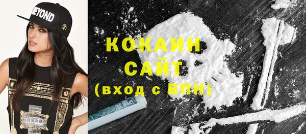 индика Верея
