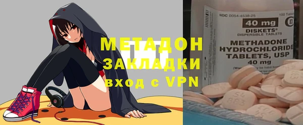 крисы Бородино