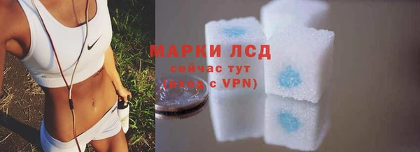 крисы Бородино