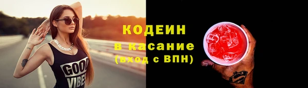 крисы Бородино
