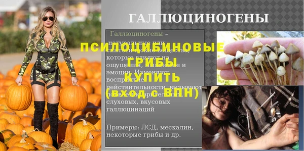 крисы Бородино